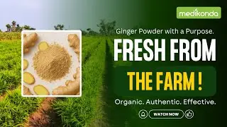 USDA Organic Certified Ginger Root Powder Manufacturing & Production Process at Medikonda Nutrients