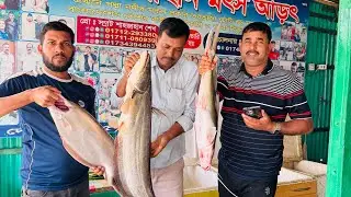 পদ্মা নদীর মাছ কিনতে চাইলে আমাদের সাথে যোগাযোগ করুন.. ০১৭৪৮১৪৭৪৭৪