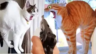 Wacky Pets CAUSE CHAOS At Home!😁🐶🐱🐾🐓🐷