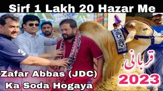 JDC Ka Naseeb Ka Soda 🔥 | Mandi Loot Li | Zafar Abbas | Grand opening At Al Hadi Cattle Farm