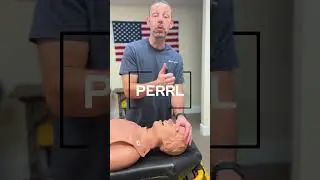 Trauma Assessment of the Head and Neck &ndash; Step-by-Step EMT Guide!