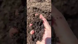 Organic Earthgro humus and manure from @HomeDepot. Outstanding, inexpensive soil amendment.