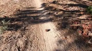 Easy hike around Big Bear Lake