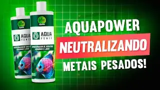 Aquapower em a&ccedil;&atilde;o: Testando a complexa&ccedil;&atilde;o de metais pesados! #powerfert #aquapower #aquarismo