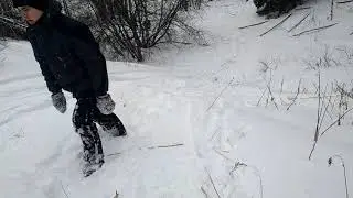 В логах