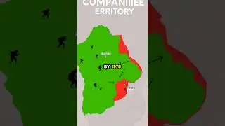 The Gombe Chimpanzee War: Astonishing Insights Into Primate Behavior 🐒🌍