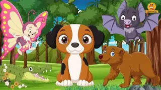 Wild Animal Sounds In Nature: Butterfly, Dog, Bear, Bat, Donkey - Animal Moments