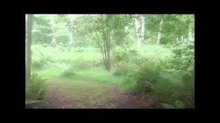 Oaklea Caravan Club CL in HD