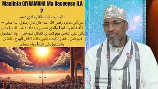 Maalinta QIYAAMAHA Ma Daceeyso ILA ?