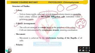 PHYCOLOGY |  CHLOROPHYCEAE | VOLVOX | CUET PG BOTANY | CUET PG LIFE SCIENCES
