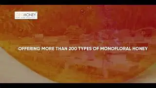 World Best Honey | Geohoney | Corporate Video