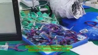 Customized Automotive Wiring Harness Eco-Friendly New Energy Clean Car with PTFE Insulation for Auto