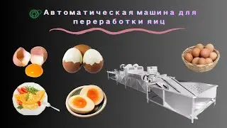 Автоматическая линия по переработке яиц машина для мытья яиц машина для сортировки яиц сушилка #для