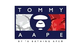 TOMMY HILFIGER x AAPE (A BATHING APE)
