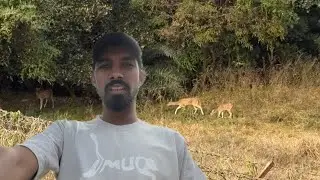 Raaste mein hiran 🦌 Dekhe  #hiran #vlog #trending #youtube #viral #funny #comedy #forest #shortvideo