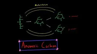 Alpha Anomer vs Beta Anomer Carbohydrate Cyclization Anomeric Carbon Mutarotation Biochemistry MCAT
