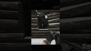 Window flip
