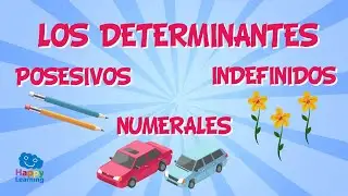 Los determinantes posesivos, numerales e indefinidos | Vídeo Educativo para Niños