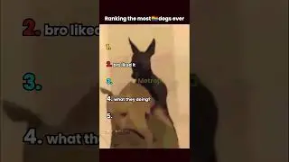 Ranking most sus dogs ever