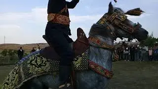 فرسان جندوبة *فرنانة*