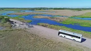 Creating Fish Habitats in Ponded Pasture