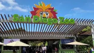 San Diego Zoo from Bus tour to Animal encounter