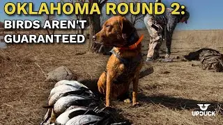 Oklahoma Round Two: Ringers, Teal, & Late Season Reality