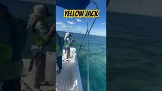 Catching a Yellow Jack or Coolihoo In The Keys! #fishinglife #saltlife #floridakeys #fishing #fish