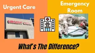 Pet Urgent Vet vs Emergency Room&hellip; What's The Difference?