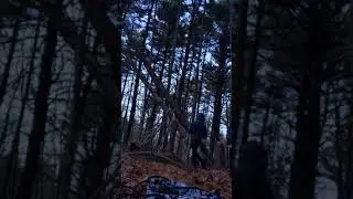 Stick fort time-lapse | Episode 1