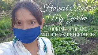 Sinigang Na Buto-Buto | Farm To Table | Neri Miranda