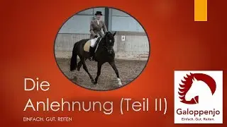 Die Anlehnung (Teil II). Einfach.Gut.Reiten
