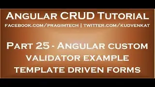 Angular custom validator example template driven forms