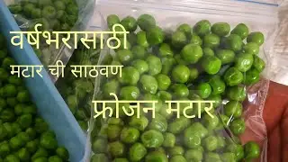 असा साठवा वर्षभरासाठी ताजा मटार | फ्रोझन मटार | How to make frozen peas at home |Frozen green peas