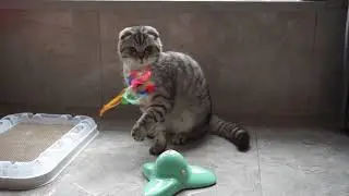 Petellow Electric Flying Butterfly Cat Teaser Toy