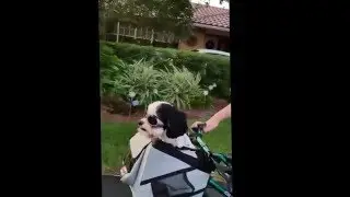 Teddy's Bike Ride