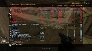chia counter-strike 1.6 stream