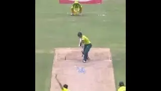 Top 15 Best Fielding Efforts