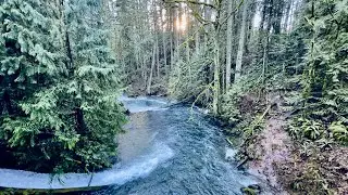新年避开喧嚣，邂逅华盛顿州的公園 / Whatcom Falls Park， Bellingham, Washington state