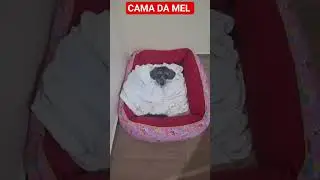 Mel toda enrolada  no Edredom L&atilde; de Carneiro