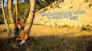 L'albero di Yzu
