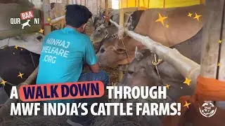 Qurbani for India's Most Vulnerable