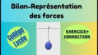 Bilan et Représentation des forces. (Exercice résolu)