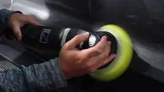 Mustang GT Paint Correction | Sleek Auto Spa Detailing | Orlando Florida