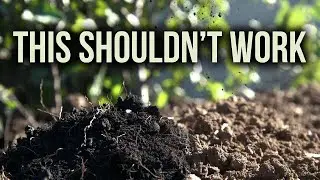 I Made Biochar From Kitchen Scraps &mdash; The Results Look Fake