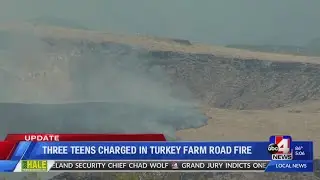 Teens Charged in Turkey Farm Road Fire