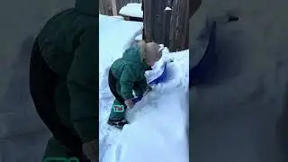 Трудяга!! Уже во всю помогает