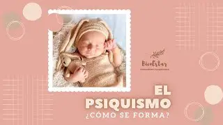 El psiquismo &iquest;C&oacute;mo se forma? | BienEstar Comunidad Terap&eacute;utica