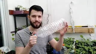Trois techniques pour nos semis de tomate