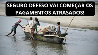 SEGURO DEFESO VAI COME&Ccedil;AR OS PAGAMENTOS DAS PARCELAS ATRASADAS SAIBA QUANDO.